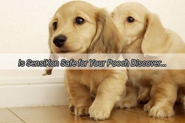 Is SensiKon Safe for Your Pooch Discover the Truth Behind This Medication